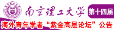 骚穴嫩逼爆操南京理工大学第十四届海外青年学者紫金论坛诚邀海内外英才！